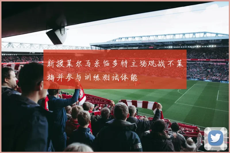 新援莱尔马亲临多特主场观战不莱梅并参与训练测试体能
